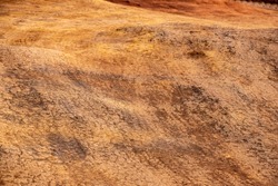 A close up of red dirt roads on Lanai, showing hills, tread marks from Jeeps and formerly muddy bumps now dry and hard. 