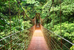 A view from one of the suspension bridges in Santa Elena Cloud Forest Reserve, in Monteverde Costa Rica.