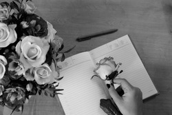 Female hands hold a rose flower. Notebook, diary with a pen on a wooden table near a bouquet of multi-colored roses in the background. Top view, flat lay. Grayscale photo..