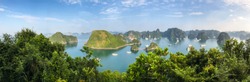 Panorama of Ha Long Bay islands, tourists enjoy boat cruise and seascape, Ha Long, Vietnam, Asia. UNESCO world heritage site, popular landmark and landscape, famous destination in Halong, Vietnam.