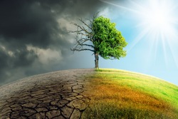 

climate change withered earth