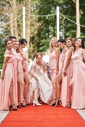 Wedding day. Beautiful bride and bridesmaids posing on the park on the wedding day. Bridesmaids dresses. Portrait of the bride and bridesmaids.  wedding day after wedding ceremony