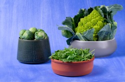 Arugula, romanesco broccoli and brussel sprouts in ceramic bowls against the blue background. Green assorted vegetables