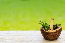 Herbs - Fresh herbs in a mortar