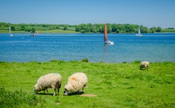 Range of activities from cycling to water sports at Rutland water in Oakham