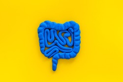 Intestines health. Guts on yellow background top view copy space