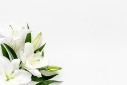 Branch of white lilies flowers. Mourning or funeral background.