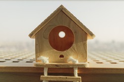 Little wooden house for small pet in warm light in concept of buying dream house.