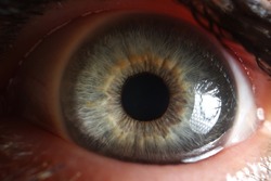 Macro view of open human eye, small pupil