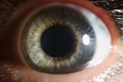 Macro human eye, dilated pupil of gray color, close-up retina