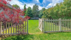 Panorama Whispy white clouds Backyard with picket fence and gate on a green lawn. There are trees on the left near the vinyl fence and a red tree against the house on the right.