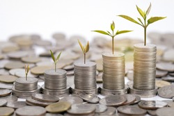 Coin stack step up and small green trees are growing growth. Saving money. Concept financial business investment. copy space