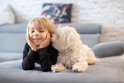 Cute blond child, toddle boy, watching TV with his pet maltese dog at home