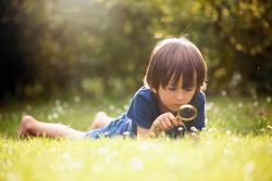 Beautiful happy child, boy, exploring nature with magnifying glass, summertime