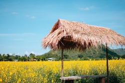 Wooden bench with Thai coconut thatch roof at blooming yellow flower field. Wooden bench with beautiful view background.