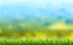 abstract bokeh and lens flare pattern with natural green grass and blue sky background (vector)