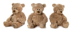 Brown teddy bear on white background. Three position. Full depth of field. 