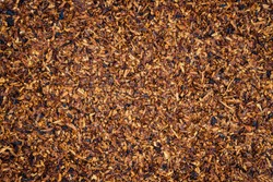 Tobacco texture. High quality dry cut tobacco  big leaf, macro close up
