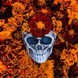 Tagetes flowers and decorative Skull. Human Skull Head Design Flowers Pot with Cempasuchil Flower backdrop. Halloween skull head with flowers. Día de los Muertos card. Mexican Day of the Dead Marigold