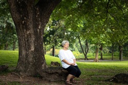 Happiness asian senior woman very calm in green nature at park,relax time,concentrate elderly people sit under the tree, feel comfortable,mindfulness meditation,concentration meditation, life concept