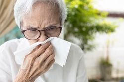 Sick asian senior woman having a cold,runny nose stuffy nose,old elderly blowing or wiping nose in a paper handkerchief,rhinitis,virus infection,sinusitis or dust allergies,nasal congestion concept
