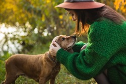 The girl is playing with her dog. A beautiful dog and its owner. Taking care of your pet. Walking the dog. A funny and beautiful pet. Trust and love in the eyes of the pet.