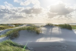 Dunes at the North Sea beach