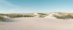 Dune landscape at the North Sea