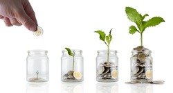 Put coins in a glass jar and the trees are growing. Jars with different level of coins isolated on white, coins in glass, finance accounting concept