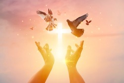 Woman praying with cross and flying bird in nature sunset background, hope concept