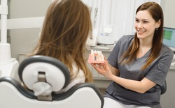 Female doctor talking to a young woman patient. Discussion of the treatment plan. The dentist shows a model of a dental implant. Modern dental clinic