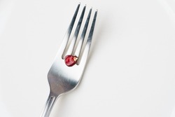 Concept of Food Scarcity or fertilizer shortages. Singular grain of corn on a fork against a white background.