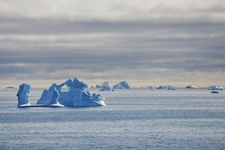 Greenland. Icebergs in the ocean. The nature of the North.