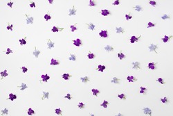 Fresh spring blue and purple flowers laid out with decorative pattern on white background. Top view.