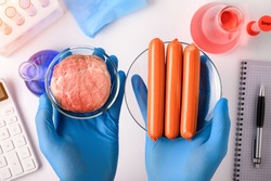 .Synthetic meat production. Checking the product for suitability in the laboratory. Artificial meat is the food of the future. Test tube meat.