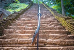 Magic stone steps going a long way,sigiriya Srilanka.