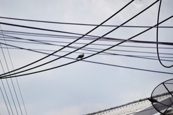 Several electrical wires are lined with birds perched on them.cloudy sky background,Single alone bird sitting on power cables outdoors. One pigeon or dove perching on electrical wires.