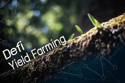 Defi Yield Farming to growing up