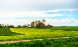 Green field grass under blue sky and vintage  farm house in the summer, Dutch countryside. Side seeing view in Friesland, a province of the Netherlands located in the northern part of the country.