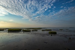 Low tide and sunset. Seascape during ebb in Zeeland, Netherlands 