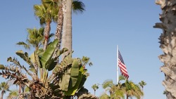Palms and american flag, Los Angeles, California USA. Summertime aesthetic of Santa Monica Venice Beach. Star-Spangled Banner, Stars and Stripes. Atmosphere of patriotism in Hollywood. LA vibes.