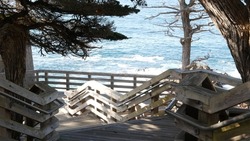 Wooden stairs to Lone Cypress viewpoint, scenic 17-mile drive tourist route, Monterey, California coast USA. Pine trees of coniferous forest or grove near Pebble beach. Stairway nature trail to ocean.