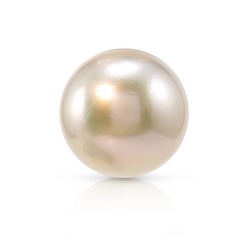 Single white natural oyster pearl with isolated on white background with drop shadow
