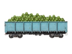 Blue metallic goods wagon or freight wagon with 	watermelons isolated on white. 