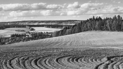 Farmland and forests in black and white landscape. Sown soil close-up. Furrows in sloping field. Spring sky with clouds. Church tower in scenic village below the hill. Radenin, South Bohemia, Europe.