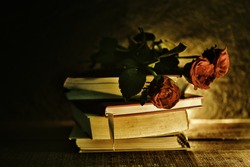 Red rose and book love education and love in school concept / still life flowers on a books old in the dark background