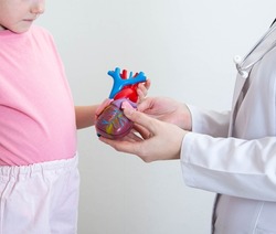 The hands of a child and the hands of a doctor-cardiologist are holding a mock-up of a heart. The concept of examination and treatment of the heart of children. Pediatric cardiology