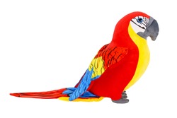 Toy parrot, stuffed parrot toy on white background, isolated image