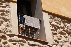 Rustic facade with a balcony railing from which a dog looks down