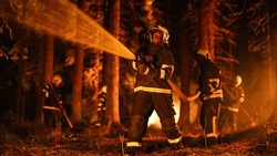 Experienced African American Firefighter Extinguishing a Wildland Fire Deep in a Forest. Professional in Safety Uniform and Helmet Using a Fire Hose to Battle Dangerous Wildfire Outbreak.